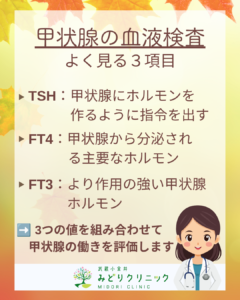 甲状腺の血液検査について_よく見る３項目