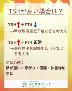 甲状腺の血液検査について_TSHが高い場合