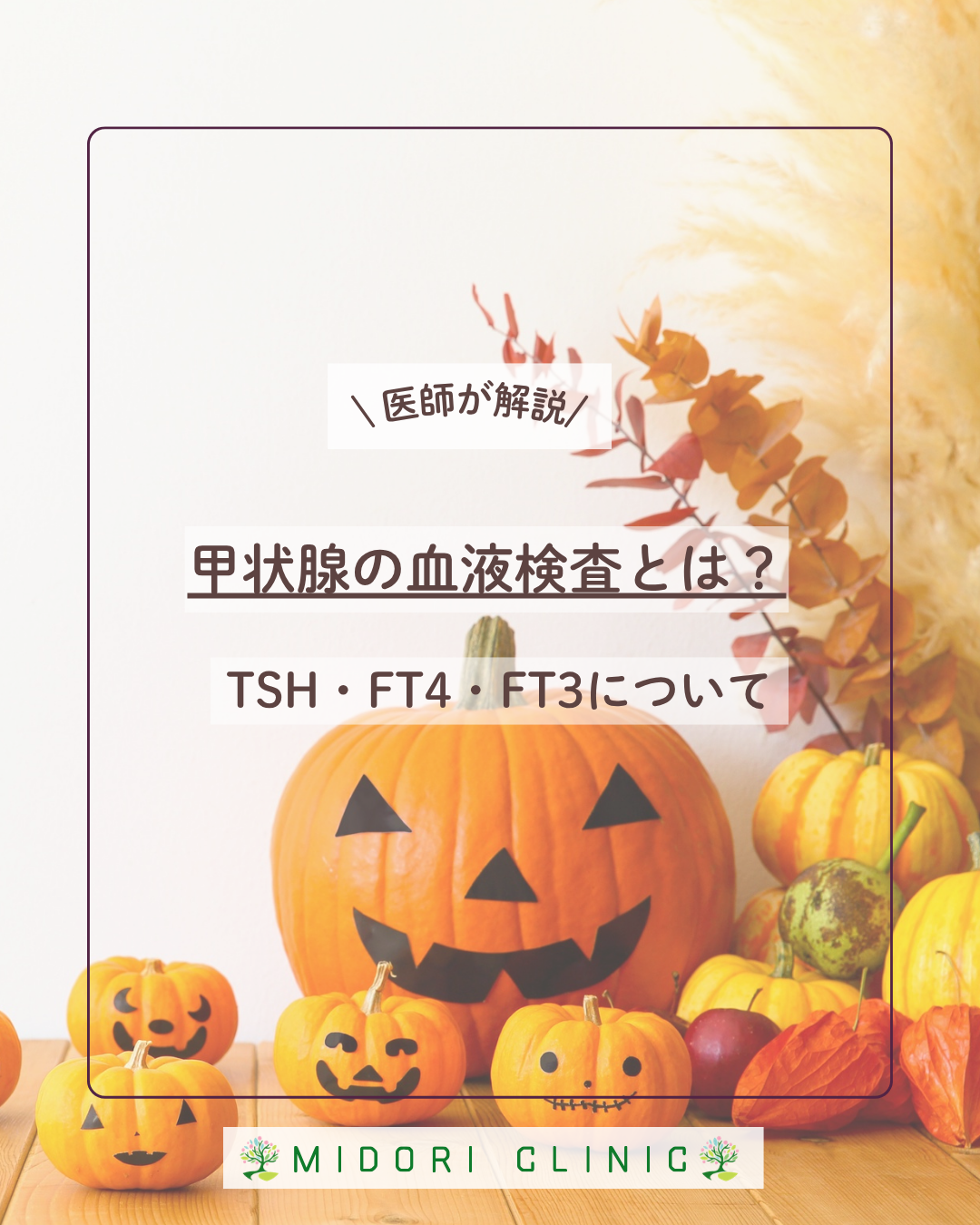 甲状腺の血液検査とは？TSH, FT4, FT3についてわかりやすく解説