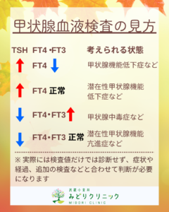 甲状腺の血液検査について_組み合わせて解説